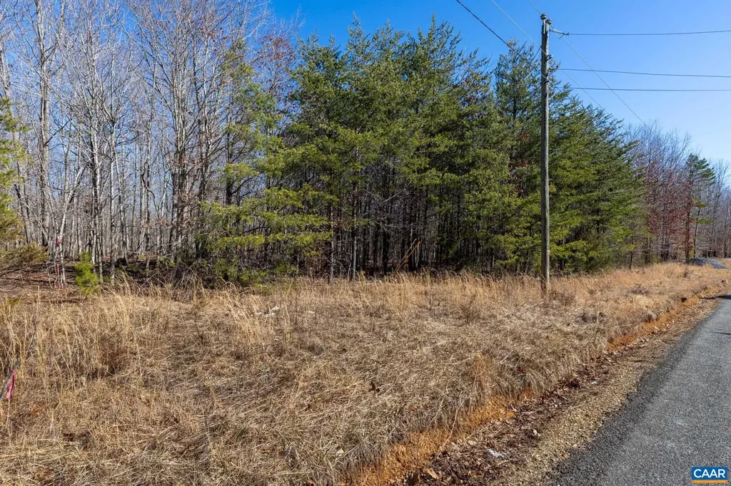 Lot 1 Ivy Road Howardsville VA 24562