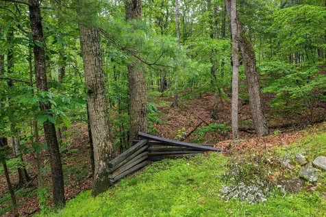 204 Spotswood Lane Mcgaheysville VA 22840