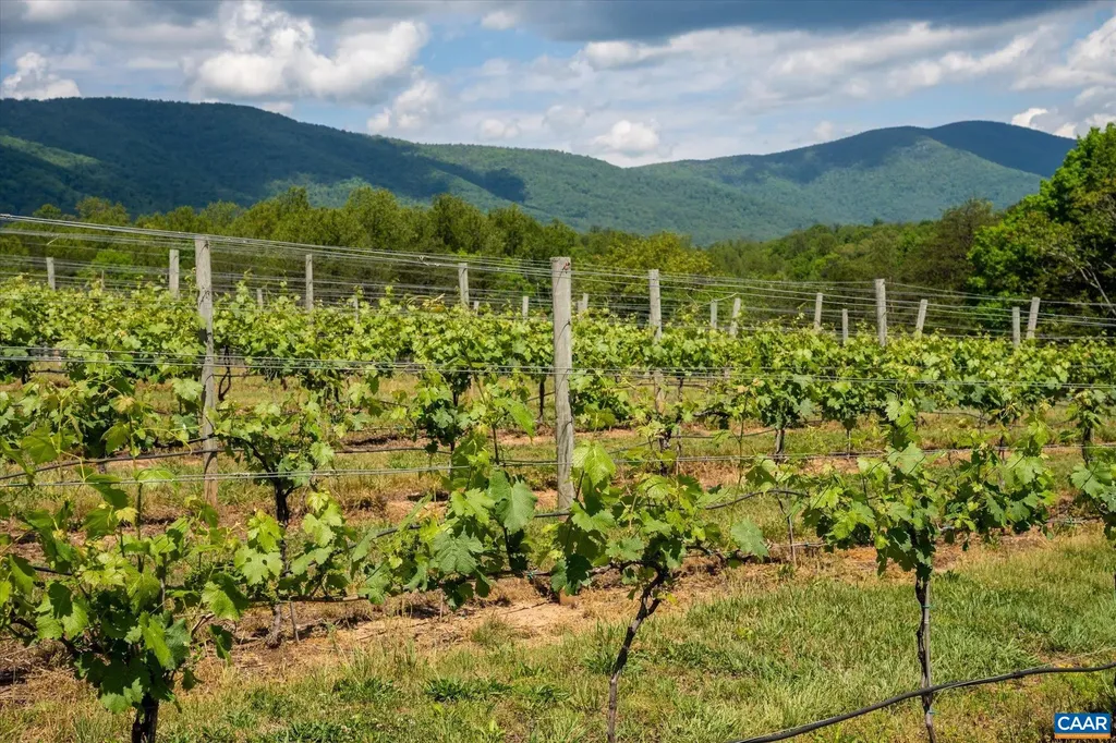 5190 Sugar Ridge Road Crozet VA 22932