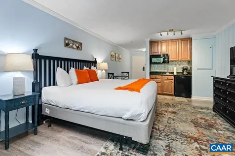 216 Timbers Condos Wintergreen Resort VA 22967