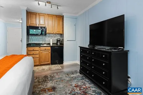 216 Timbers Condos Wintergreen Resort VA 22967