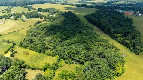 0 Sunnyview Drive Rileyville VA 22650