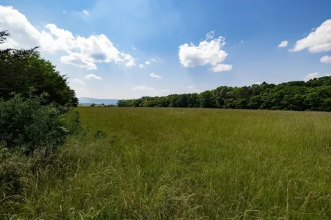 0 Sunnyview Drive Rileyville VA 22650