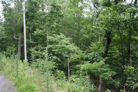 41 High Valley Drive S Monterey VA 24465