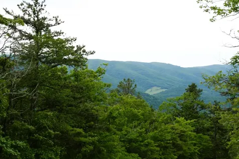 41 High Valley Drive S Monterey VA 24465