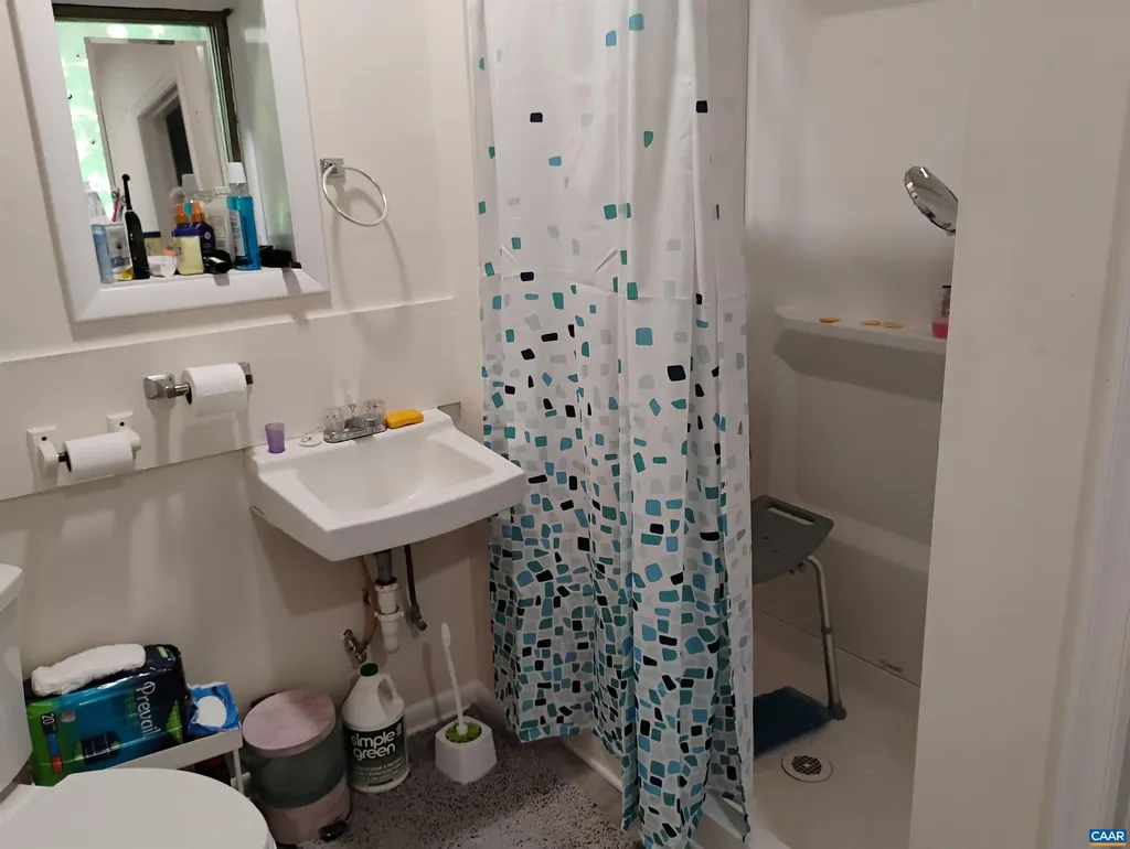 1411 Vine Street Charlottesville VA 22902