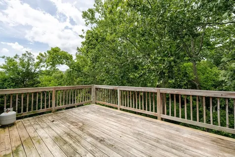 266 Locustdale Loop Shenandoah VA 22849