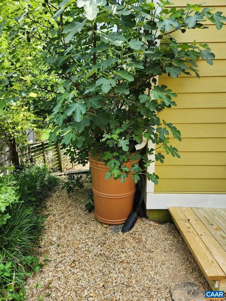 308 6th Street SW Charlottesville VA 22903