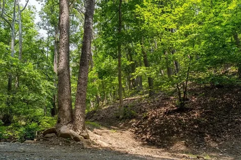 3940 Us Highway 340 Stanley VA 22851