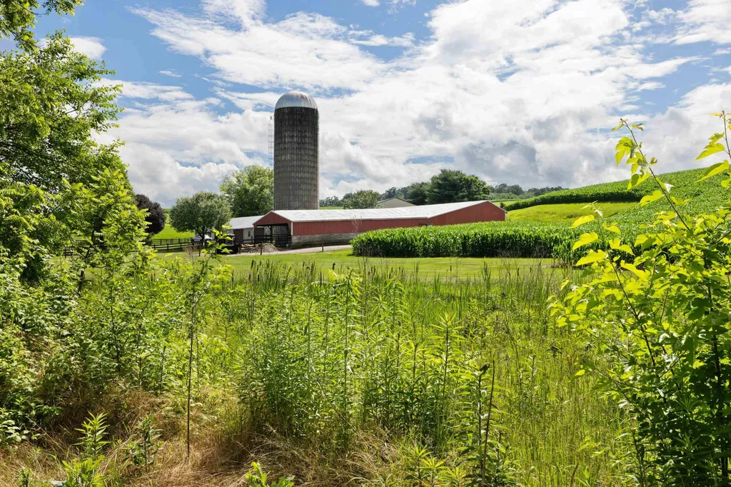 5942 Mossy Creek Road Bridgewater VA 22812