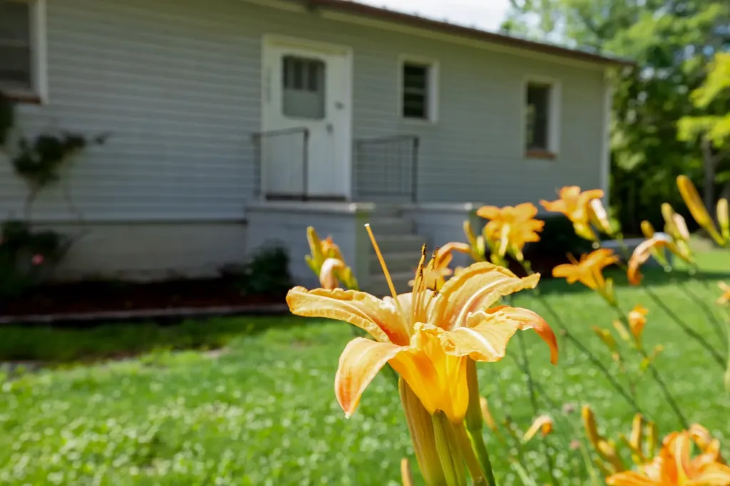 5942 Mossy Creek Road Bridgewater VA 22812