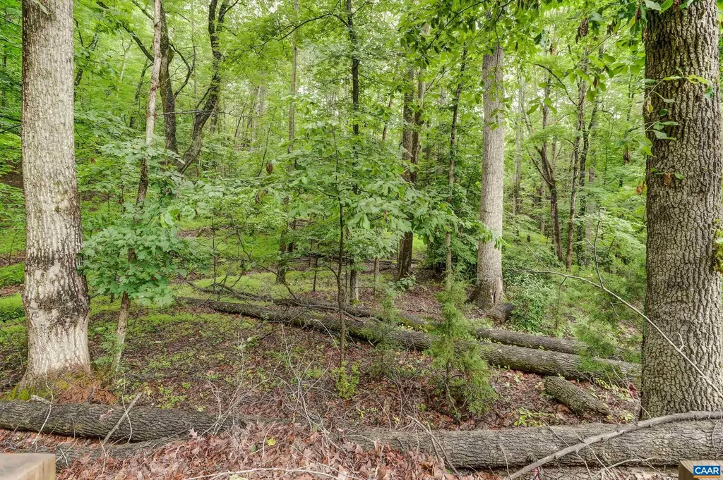 7160 Burnt Mountain Road Afton VA 22920