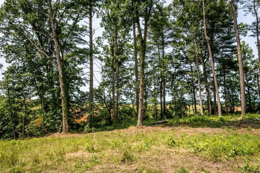 0 Piney Woods Road Timberville VA 22853