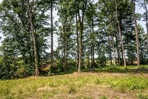 0 Piney Woods Road Timberville VA 22853