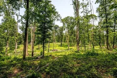 0 Piney Woods Road Timberville VA 22853