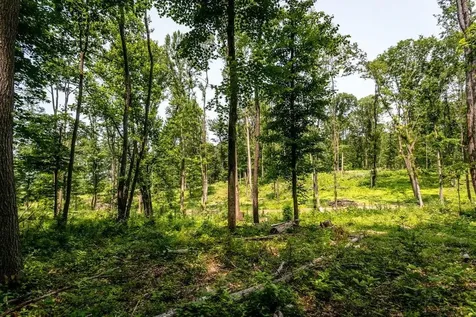 0 Piney Woods Road Timberville VA 22853