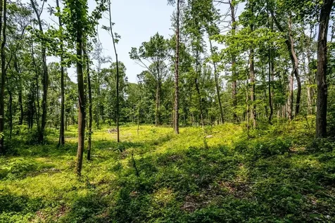 0 Piney Woods Road Timberville VA 22853