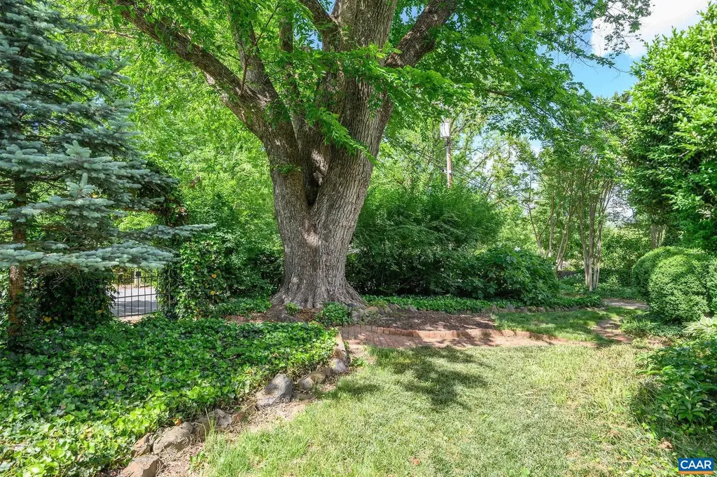 804 Rugby Road Charlottesville VA 22903