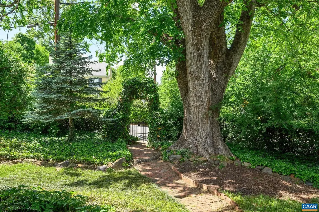 804 Rugby Road Charlottesville VA 22903