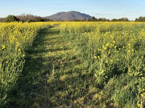 8643 Mill Creek Church Road Port Republic VA 24471