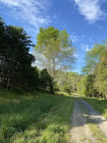 8643 Mill Creek Church Road Port Republic VA 24471
