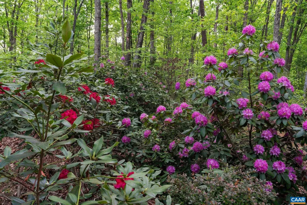 4701 Blenheim Road Charlottesville VA 22902