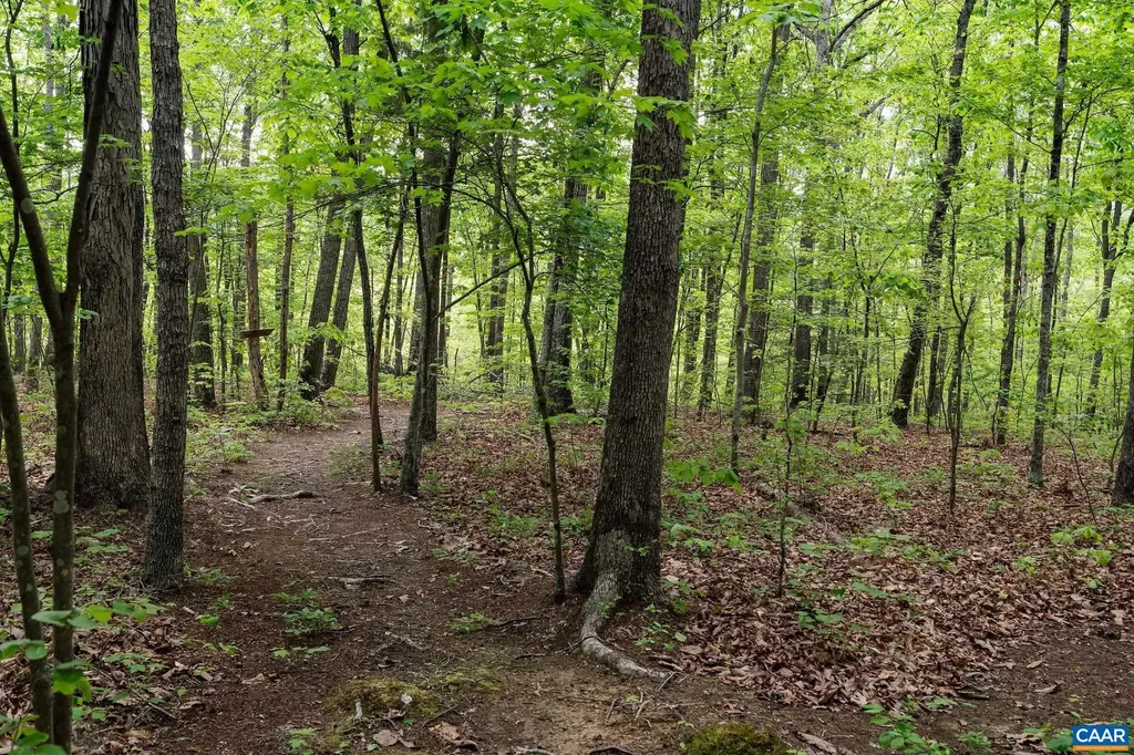 4701 Blenheim Road Charlottesville VA 22902