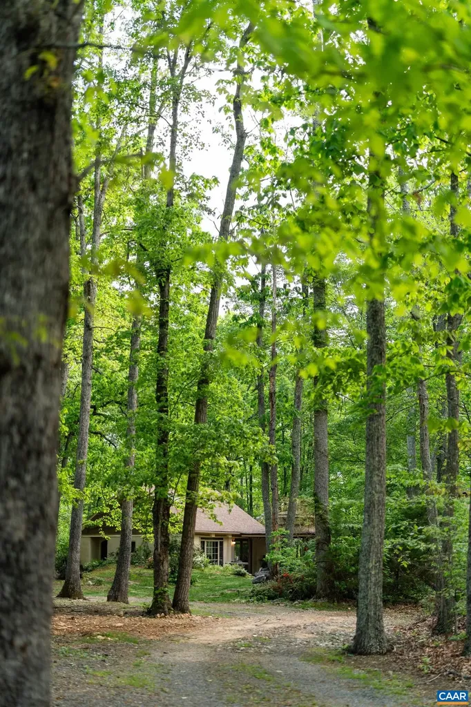 4701 Blenheim Road Charlottesville VA 22902