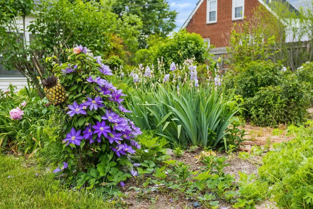 208 Stuart Avenue N Elkton VA 22827