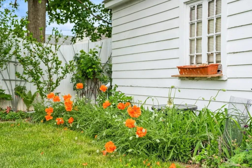 208 Stuart Avenue N Elkton VA 22827