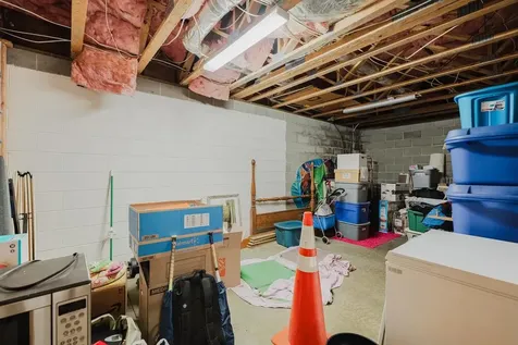 256 Back Road Shenandoah VA 22849