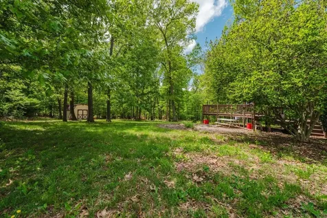 256 Back Road Shenandoah VA 22849