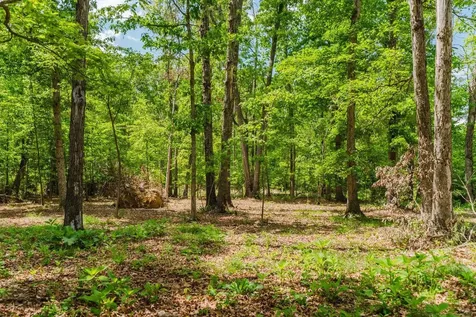 256 Back Road Shenandoah VA 22849