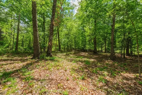 256 Back Road Shenandoah VA 22849