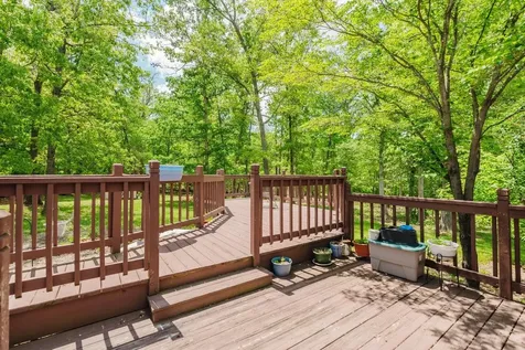 256 Back Road Shenandoah VA 22849