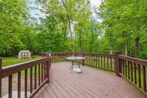 256 Back Road Shenandoah VA 22849