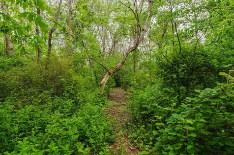 433 Wirt Avenue Elkton VA 22827