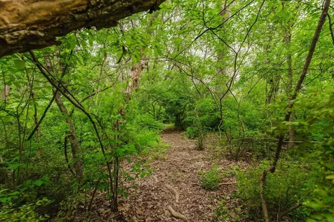 433 Wirt Avenue Elkton VA 22827