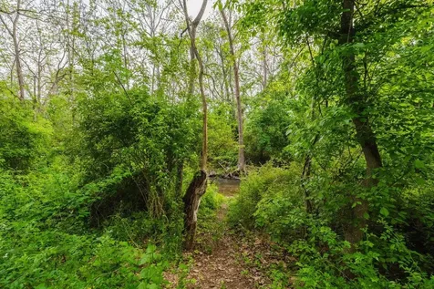 433 Wirt Avenue Elkton VA 22827