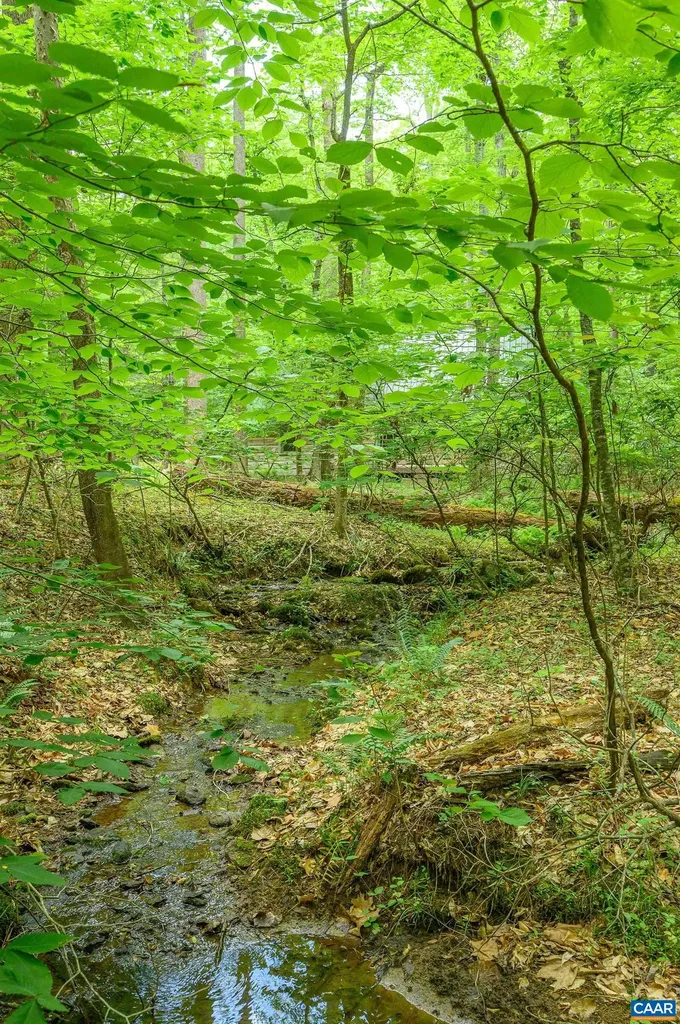 1816 Davis Shop Road Earlysville VA 22936