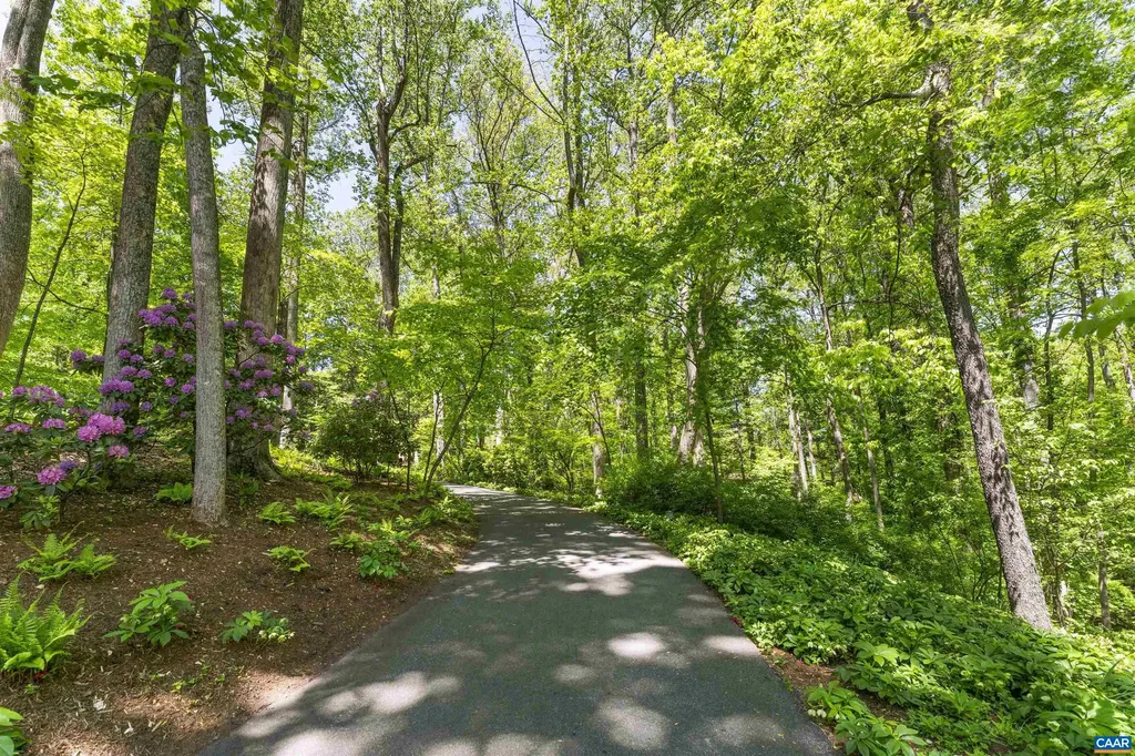 440 Rookwood Drive Charlottesville VA 22903