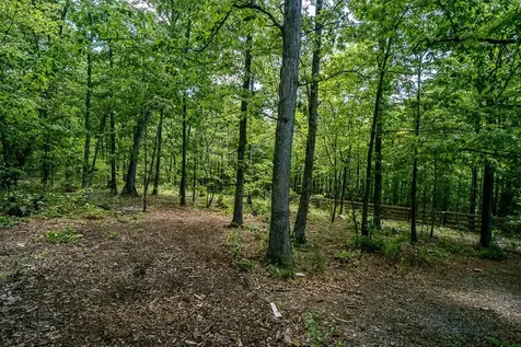 2461 Resort Drive Mcgaheysville VA 22840