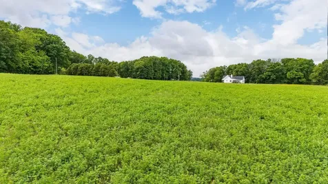 668 Churchmans Mill Road Stuarts Draft VA 24477
