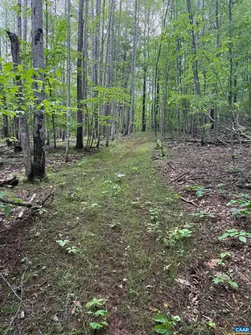 Tbd Rabbit Valley Road North Garden VA 22959