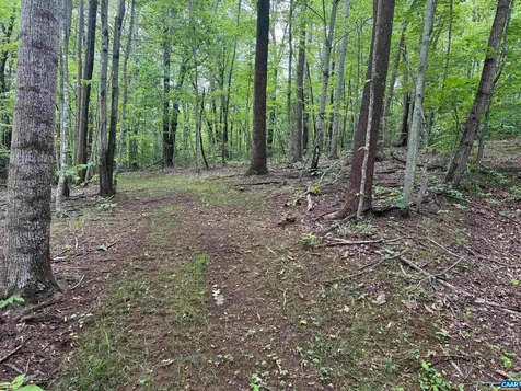 Tbd Rabbit Valley Road North Garden VA 22959