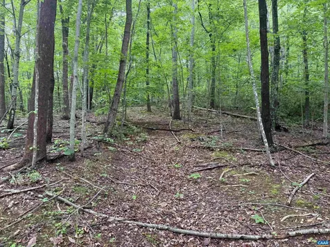 Tbd Rabbit Valley Road North Garden VA 22959