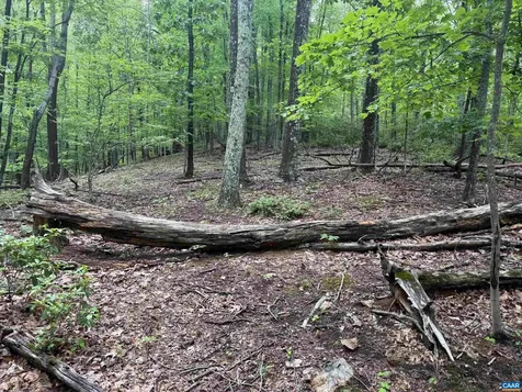 Tbd Rabbit Valley Road North Garden VA 22959