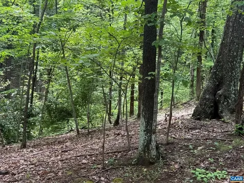Tbd Rabbit Valley Road North Garden VA 22959