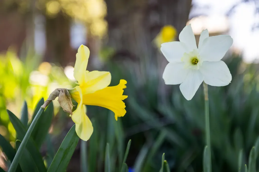 3599 Lumber Mill Road Dayton VA 22821