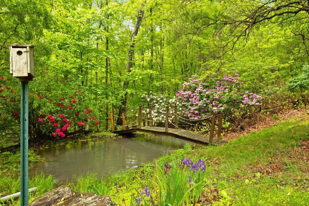 537 High Valley Drive N Monterey VA 24465